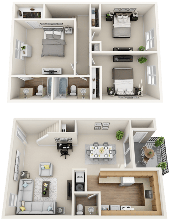 C1 Image